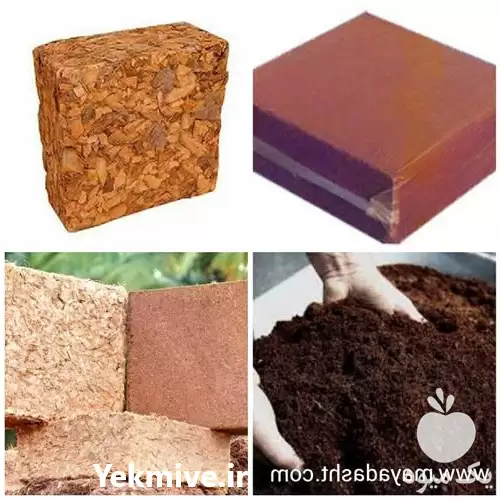 پیش فروش کوکوپیت هندی در تهران در گروه خرید و فروش انواع کود کشاورزی در یکمیوه -عکس1