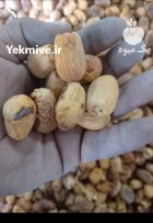 آگهی مشابه ضایعات خرما زاهدی در جهرم در گروه خرید و فروش خرما در یکمیوه