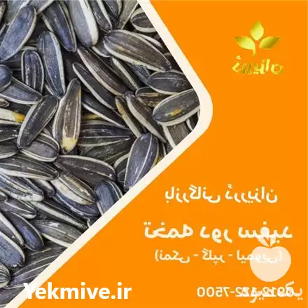 قیمت خرید تخمه دور سفید شور در تهران در گروه خرید و فروش انواع تخمه در یکمیوه -عکس1