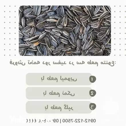 فروش تخمه دور سفید گلپر در تهران در گروه خرید و فروش انواع تخمه در یکمیوه -عکس1