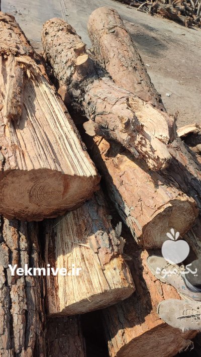 خریدار چوب درخت چوب باغی در شهریار در گروه خرید و فروش چوب درخت در یکمیوه -عکس3