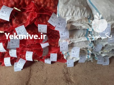 سیب زمینی بذری لیبل دار در بیضا در گروه خرید و فروش سیب زمینی در یکمیوه -عکس1