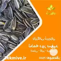قیمت خرید تخمه دور سفید شور در تهران در گروه خرید و فروش انواع تخمه در یکمیوه