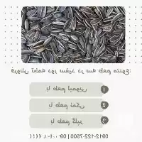 فروش تخمه دور سفید لیمویی فروش در گروه خرید و فروش انواع تخمه در یکمیوه