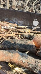 خریدار چوب درخت چوب باغی در شهریار در گروه خرید و فروش چوب درخت در یکمیوه