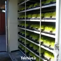 دوره آموزشی پرورش و کاشت علوفه