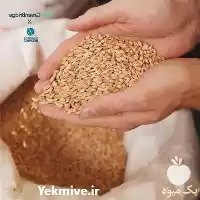 راهکار عملی تولید علوفه در تمام