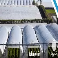 قیمت خرید تولید نایلون عریض در گروه خرید و فروش انواع پوشش ها در یکمیوه