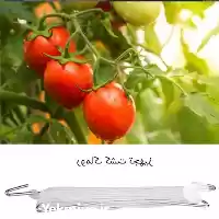 فروش قلاب گالوانیزه بوته در تهران در گروه خرید و فروش تجهیزات گلخانه در یکمیوه