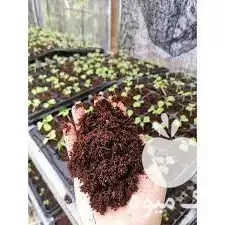 فروش کوکوپیت سریلانکا در گروه خرید و فروش انواع کود کشاورزی در یکمیوه -عکس1