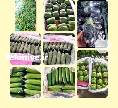 سورت و بسته بندی محصولات گلخانه ای در یزد در گروه سورتینگ در یکمیوه -عکس1