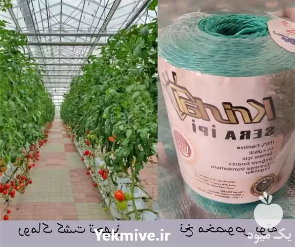 فروش نخ یووی گوجه فرنگی در تهران در گروه خرید و فروش تجهیزات گلخانه در یکمیوه -عکس1