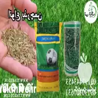 قیمت خرید بذر چمن در تهران در گروه خرید و فروش بذر چمن در یکمیوه