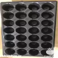 قیمت خرید سینی کشت نشاء ایرانی در گروه خرید و فروش نشا در یکمیوه