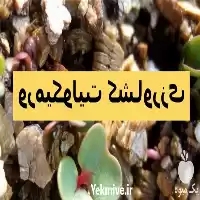 قیمت خرید ورمیکولیت کشاورزی در تهران در گروه خرید و فروش انواع کود کشاورزی در یکمیوه