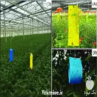 فروش کارت آبی حشرات در تهران در گروه خرید و فروش انواع سم در یکمیوه