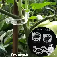 قیمت خرید گیره بوته در تهران در گروه خرید و فروش تجهیزات گلخانه در یکمیوه