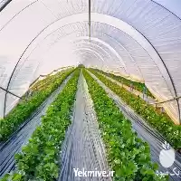 قیمت خرید تولید پلاستیک با مزایای در اصفهان در گروه خرید و فروش انواع پوشش ها در یکمیوه