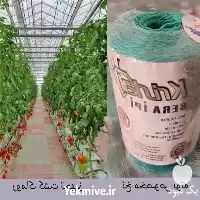 فروش نخ یووی گوجه فرنگی در تهران در گروه خرید و فروش تجهیزات گلخانه در یکمیوه
