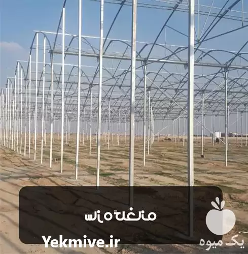 فروش اجرای انواع سازه گلخانه در هرمز در گروه خرید و فروش سوله و سازه گلخانه در یکمیوه -عکس1