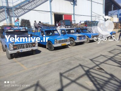 نیسان حمل بار در شیراز در گروه حمل و نقل در یکمیوه -عکس1