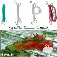فروش قلاب پایین کشی بوته در تهران در گروه خرید و فروش تجهیزات گلخانه در یکمیوه