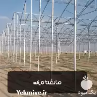 فروش اجرای انواع سازه گلخانه در هرمز در گروه خرید و فروش سوله و سازه گلخانه در یکمیوه