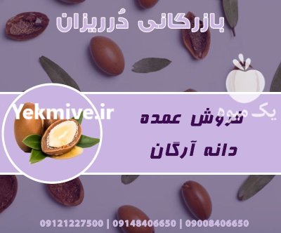 فروش دانه آرگان اصل مراکش فروش در گروه خرید و فروش انواع روغن در یکمیوه -عکس2