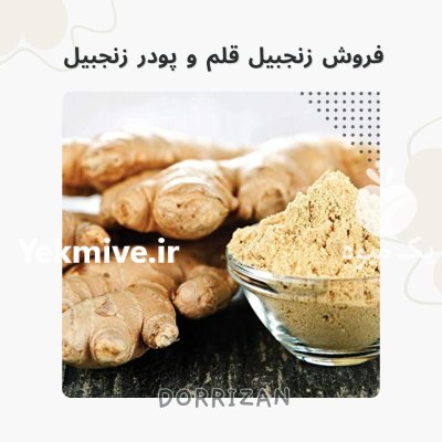 فروش زنجبیل قلم فروش پودر زنجبیل در ری  در گروه خرید و فروش ادویه در یکمیوه -عکس1