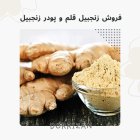 فروش زنجبیل قلم فروش پودر زنجبیل در ری  در گروه خرید و فروش ادویه در یکمیوه