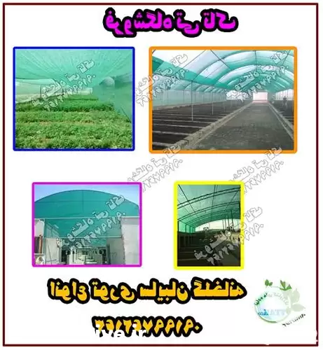 قیمت خرید شید گلخانه یا توری در گرگان در گروه خرید و فروش توری گلخانه در یکمیوه -عکس1