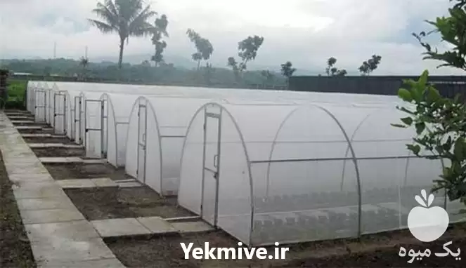 مشاوره ساخت انواع گلخانه هیدروپونیک کشت در گروه سازنده در یکمیوه -عکس1