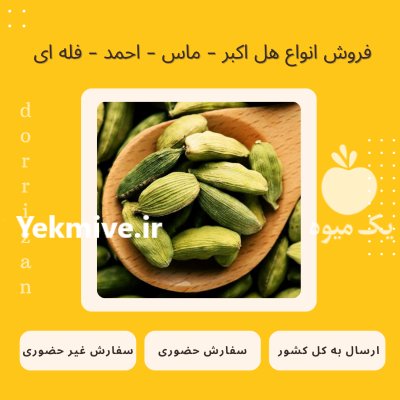 فروش هل اکبر بنفش فروش عمده در گروه خرید و فروش ادویه در یکمیوه -عکس1