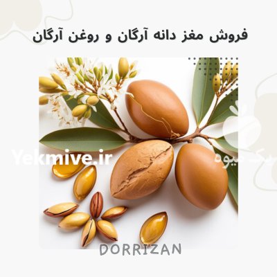 فروش روغن آرگان کلدپرس روغن آرگان در ری  در گروه خرید و فروش انواع روغن در یکمیوه -عکس1
