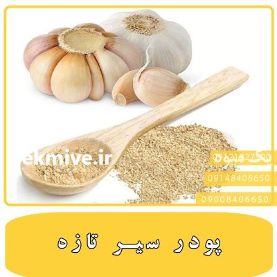 فروش پودر سیر و روغن سیر در ری  در گروه خرید و فروش ادویه در یکمیوه -عکس1