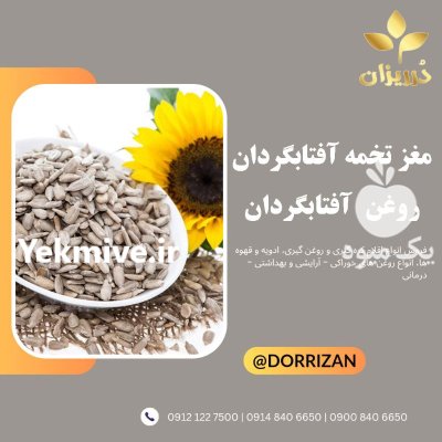 فروش مغز تخمه سالم تمیز در ری  در گروه خرید و فروش انواع تخمه در یکمیوه -عکس1