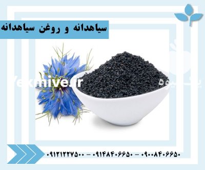 فروش سیاهدانه روغنگیری روغن سیاهدانه در ری  در گروه خرید و فروش انواع روغن در یکمیوه -عکس1