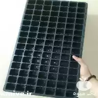 آگهی مشابه قیمت خرید سینی نشا گلخانه در گروه خرید و فروش نشا در یکمیوه