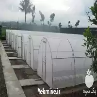 مشاوره ساخت انواع گلخانه هیدروپونیک کشت در گروه سازنده در یکمیوه