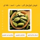 فروش هل اکبر بنفش فروش عمده در گروه خرید و فروش ادویه در یکمیوه