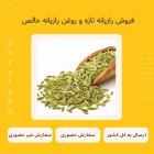 فروش رازیانه تازه روغن رازیانه در ری  در گروه خرید و فروش انواع روغن در یکمیوه