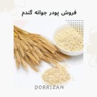 فروش پودر جوانه گندم روغن جوانه در ری  در گروه خرید و فروش گندم و جو در یکمیوه