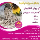 فروش روغن آفتابگردان خالص بصورت عمده در ری  در گروه خرید و فروش انواع روغن در یکمیوه