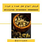 فروش هل اکبر بنفش هل ماس در ری  در گروه خرید و فروش ادویه در یکمیوه