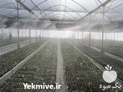 فروش تولید دستگاه رطوبت ساز مه در مشهد در گروه خرید و فروش رطوبت ساز در یکمیوه -عکس1