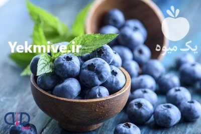 نهال بلوبری گیله قره در نهالستان در انارک در گروه خرید و فروش نهال بلوبری در یکمیوه -عکس3