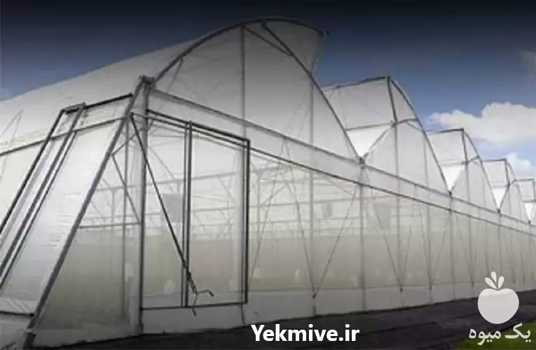 قیمت خرید توری ضد تریپس در تهران در گروه خرید و فروش توری گلخانه در یکمیوه -عکس1