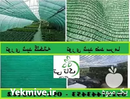 فروش توری سایه انداز در یزد در گروه خرید و فروش توری گلخانه در یکمیوه -عکس1