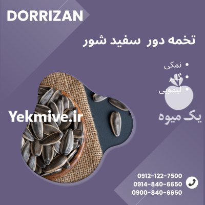 فروش تخمه لیمویی تخمه گلپر فروش در ری  در گروه خرید و فروش انواع تخمه در یکمیوه -عکس1