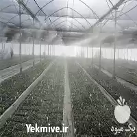 فروش تولید دستگاه رطوبت ساز مه در مشهد در گروه خرید و فروش رطوبت ساز در یکمیوه